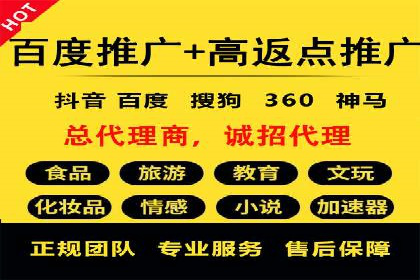 行业领先企业如何通过信息流广告实现转化——案例分析